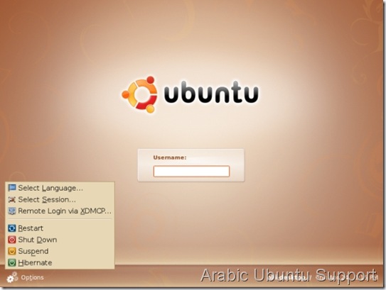 Install ubuntu 9.04 Fs3-thumb